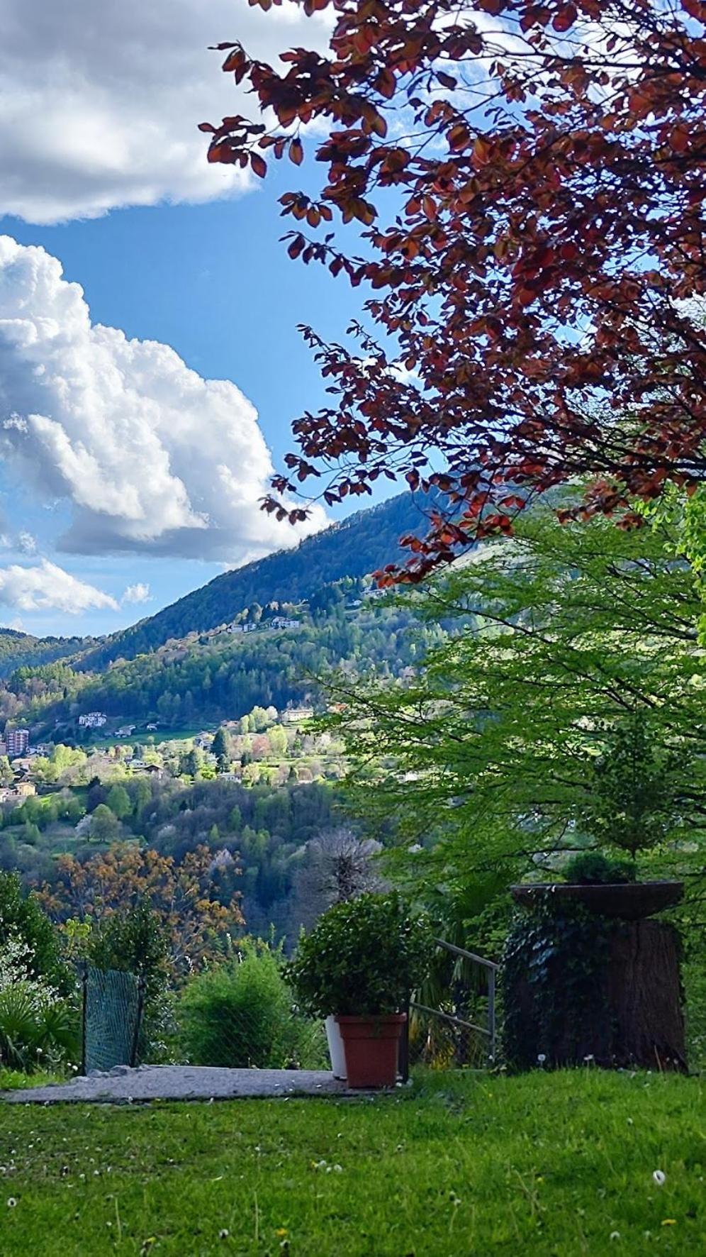 Villa Alma, Lake Como Bed&Breathe San Fedele Intelvi Buitenkant foto